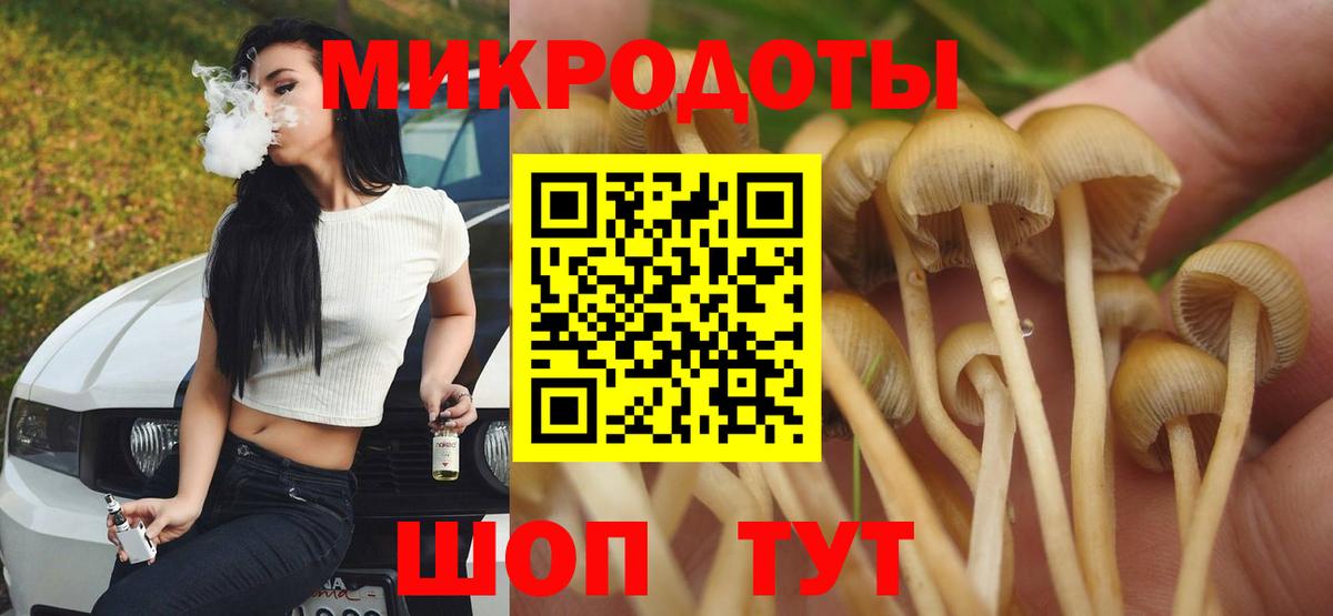 Нижнекамск  Псилоцибиновые грибы мухоморы  Вход с VPN 